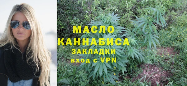 хмурый Аркадак