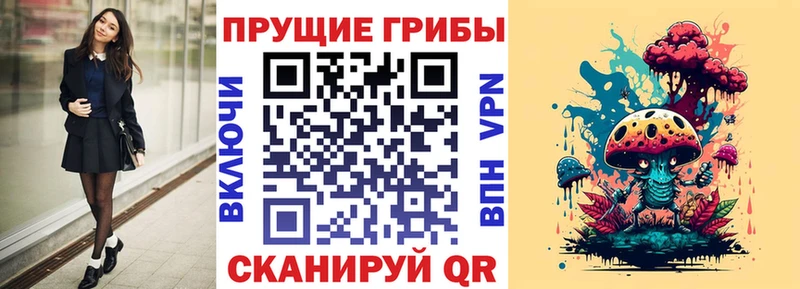 Псилоцибиновые грибы Psilocybe Богданович